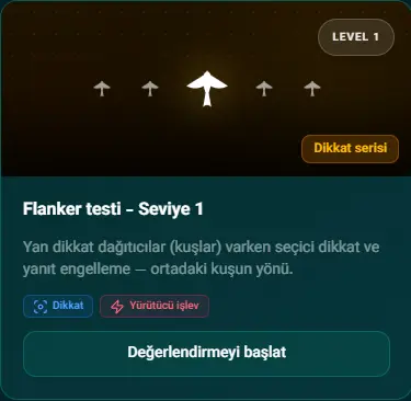 Flanker test screen 01